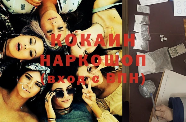 бошки Бородино