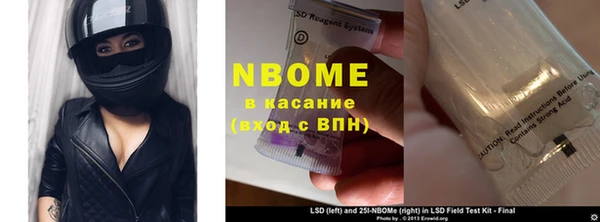 прущие грибы Беломорск