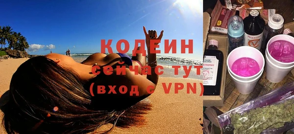 дмт Богданович