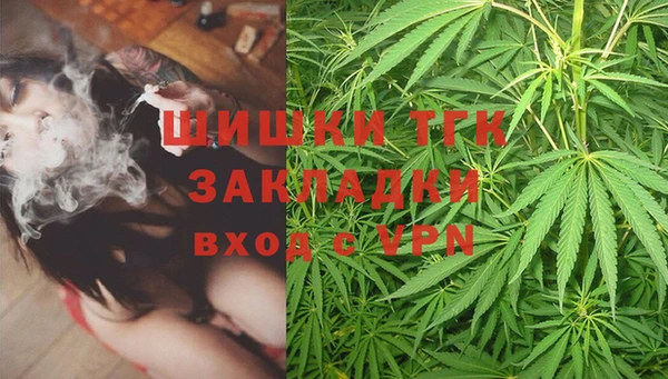 дмт Богданович