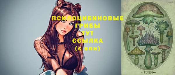 амф Белокуриха