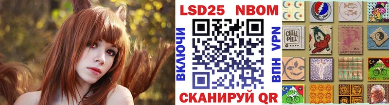 darknet наркотические препараты  гидра зеркало  Марки NBOMe 1500мкг  Дальнегорск  цены  